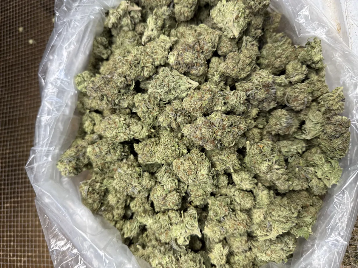 Oreoz Flower